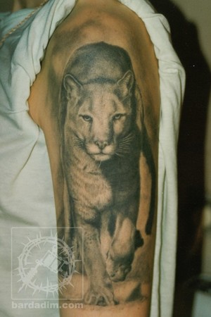 Black and Gray Puma Tattoo by George Bardadim TattooNOW